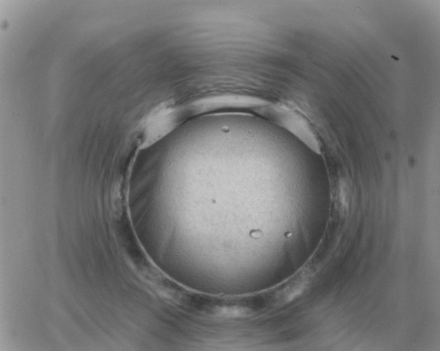 X0000065960360200603172030