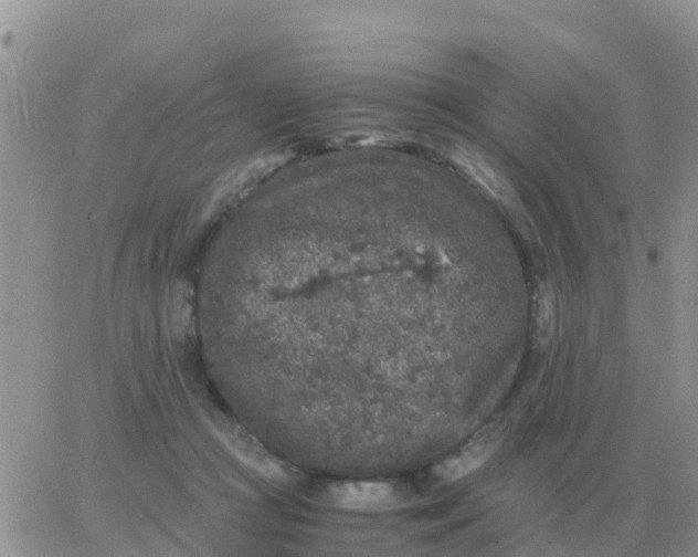 X0000065960361200603172030