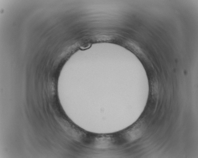 X0000065960362200603172030