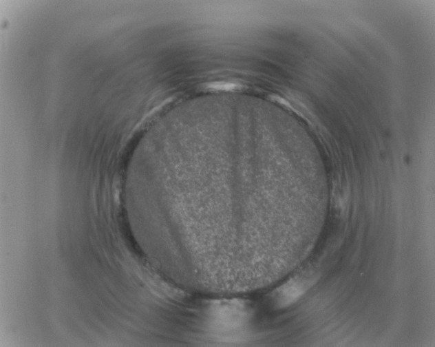 X0000065960363200603172030