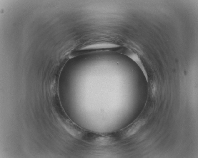 X0000065960364200603172030