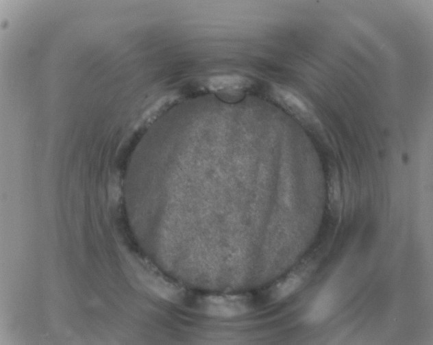 X0000065960367200603172030