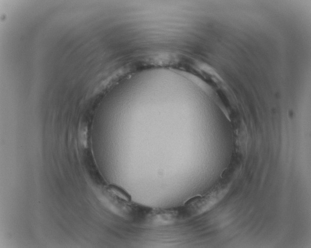 X0000065960368200603172030