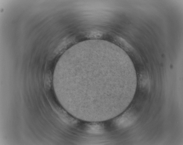 X0000065960370200603172030