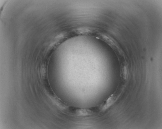 X0000065960372200603172030