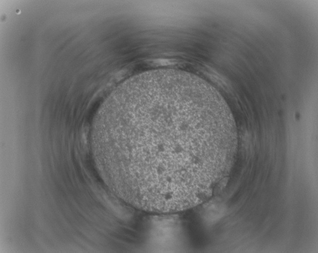 X0000065960373200603172030