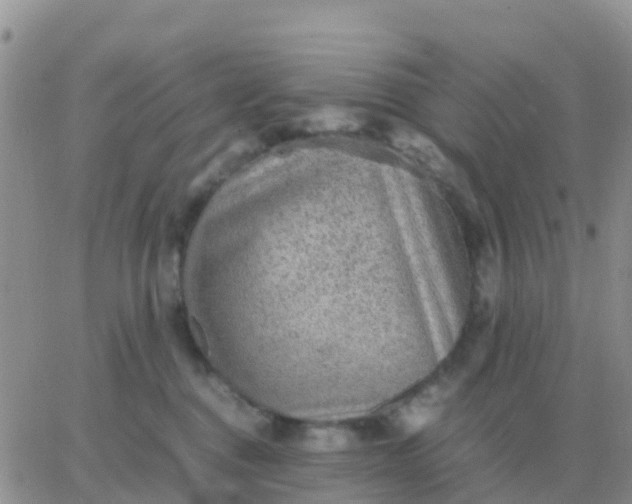 X0000065960376200603172030