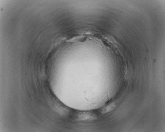 X0000065960377200603172030