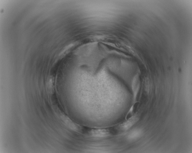 X0000065960378200603172030