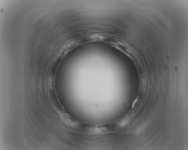 X0000065960379200603172030