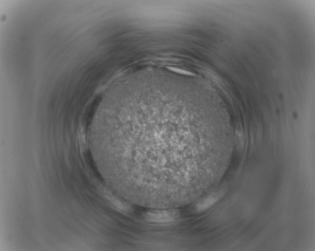 X0000065960381200603172030