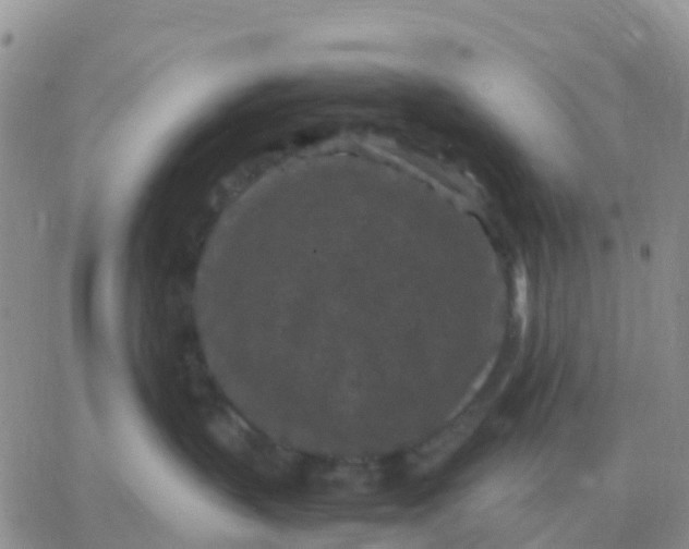 X0000065960383200603172031