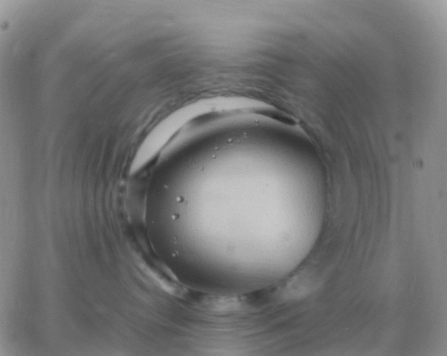 X0000065960384200603172031