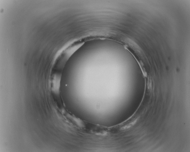 X0000065960388200603172030