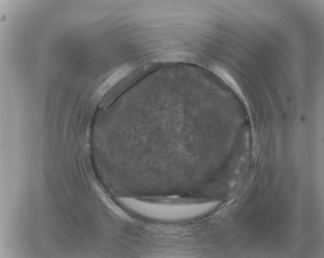 X0000065960389200603172030