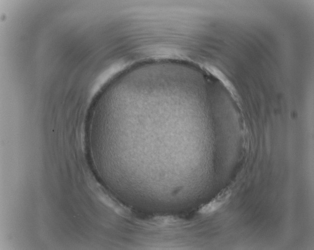 X0000065960391200603172030