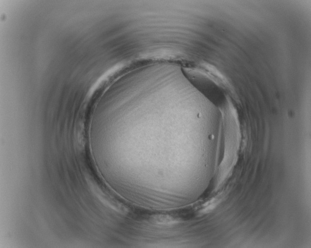 X0000065960392200603172030