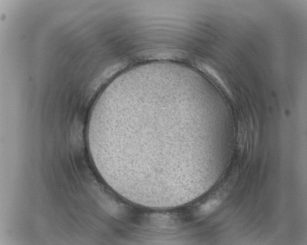 X0000065960394200603172030