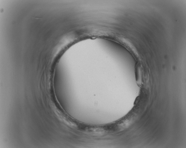 X0000065960395200603172030