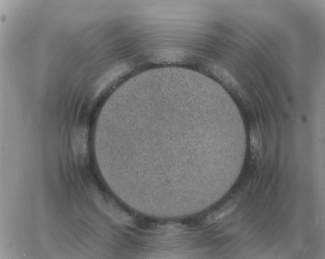 X0000065960396200603172030