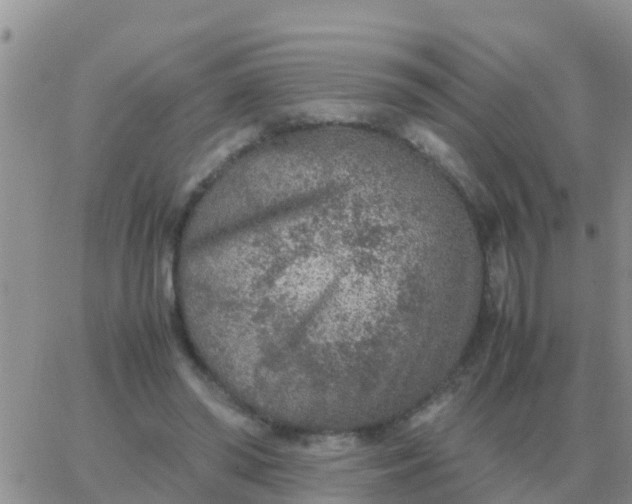 X0000065960398200603172030