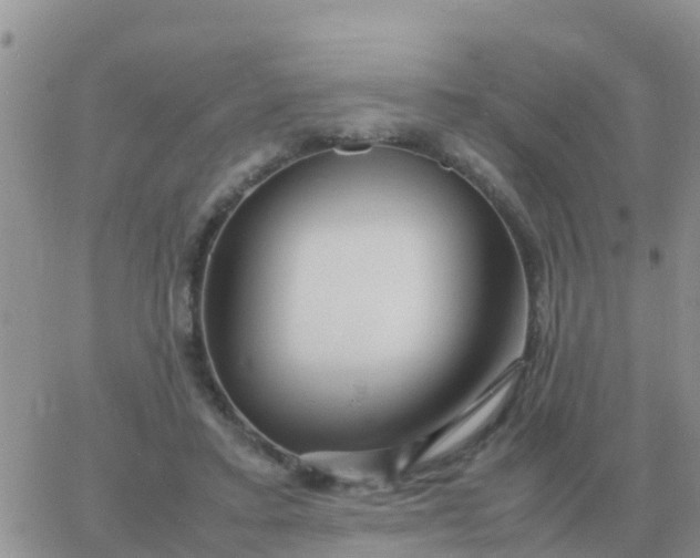 X0000065960403200603172029