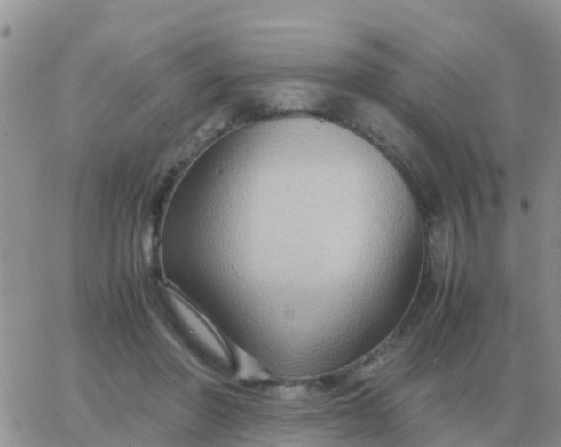 X0000065960406200603172029