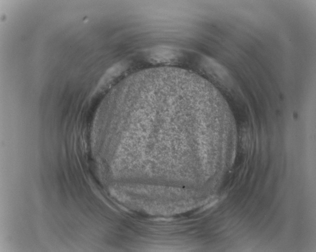 X0000065960408200603172029