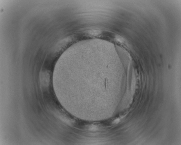 X0000065960412200603172029