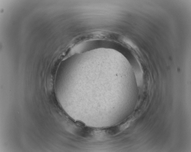 X0000065960413200603172029