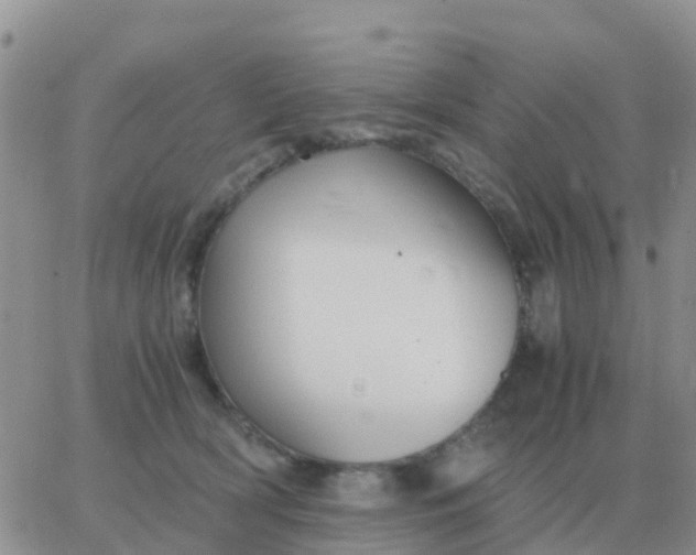 X0000065960418200603172029