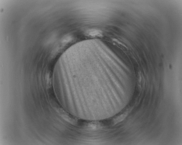 X0000065960420200603172029