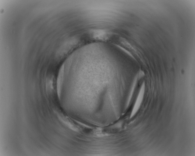 X0000065960424200603172029