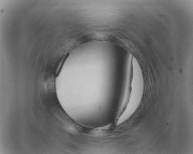 X0000065960425200603172029