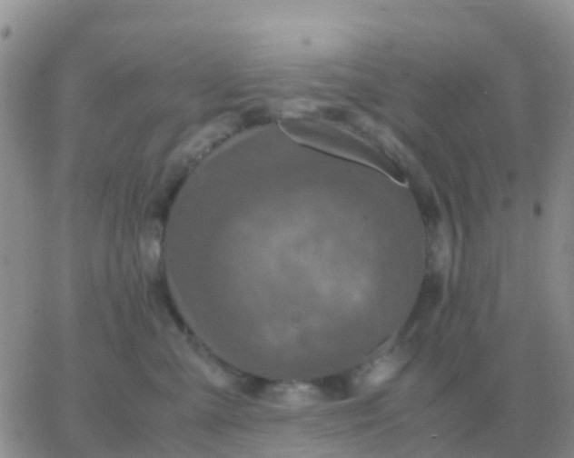 X0000065960427200603172029