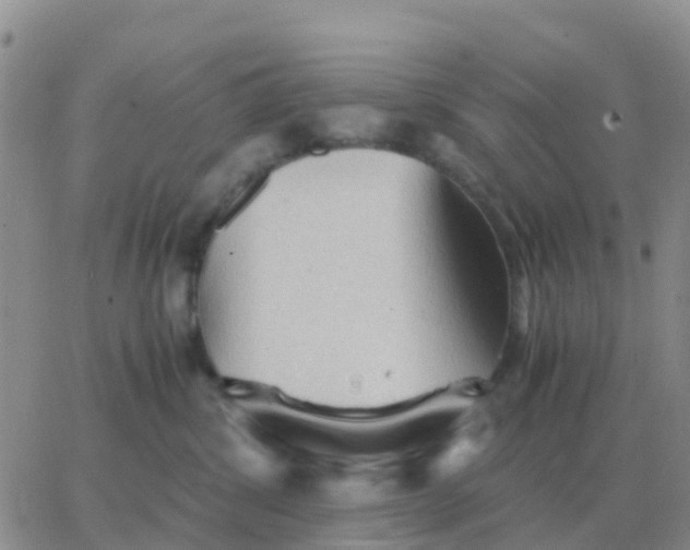 X0000065960428200603172029