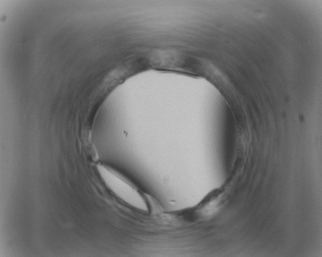 X0000065960429200603172029