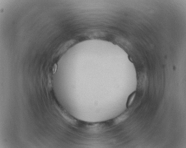 X0000065960430200603172029