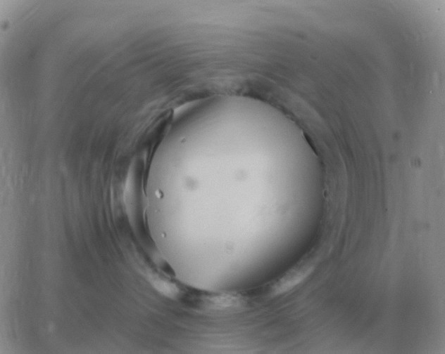 X0000065960432200603172029