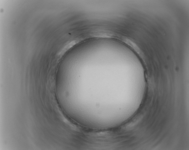 X0000065960433200603172028