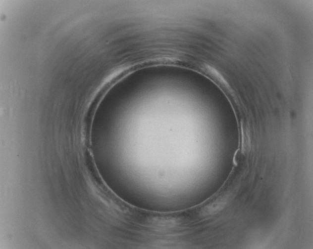 X0000065960435200603172028