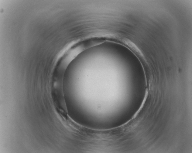 X0000065960436200603172028