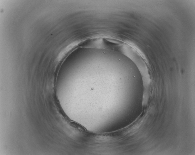 X0000065960437200603172028