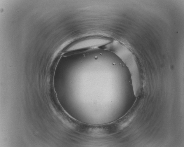 X0000065960440200603172028