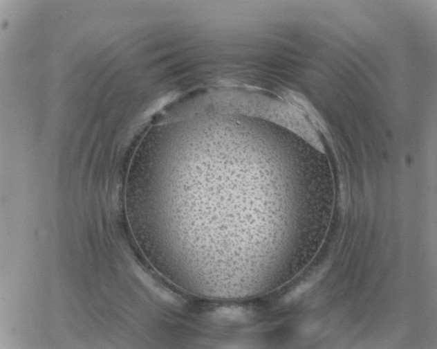 X0000065960441200603172028