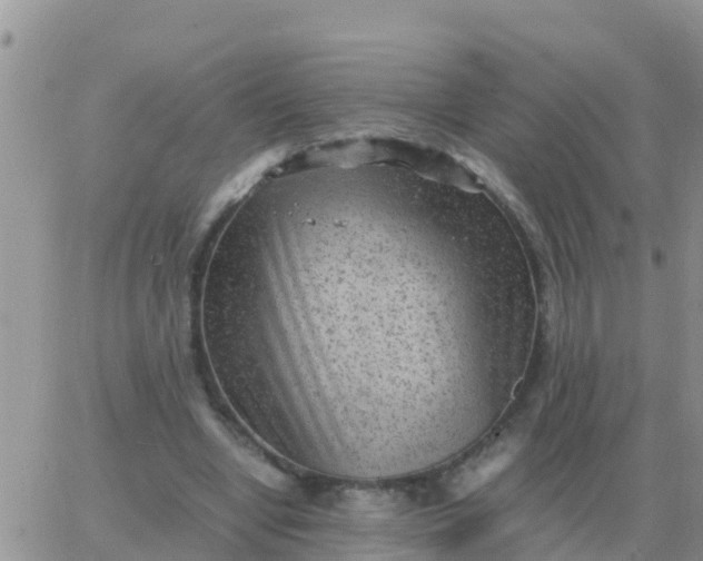 X0000065960442200603172028