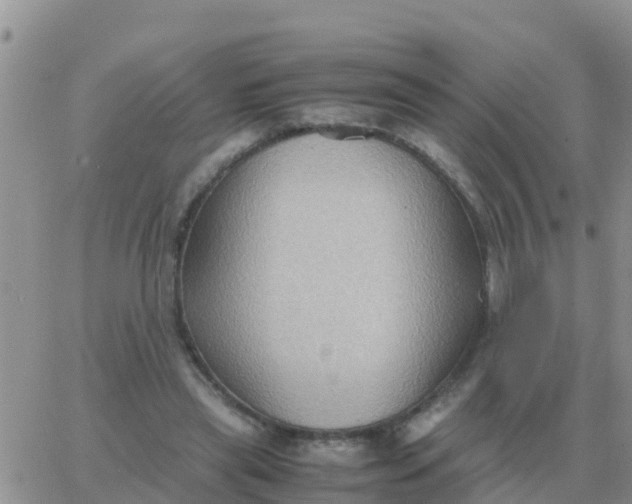 X0000065960445200603172028