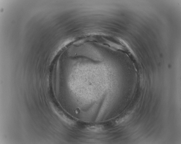 X0000065960447200603172028