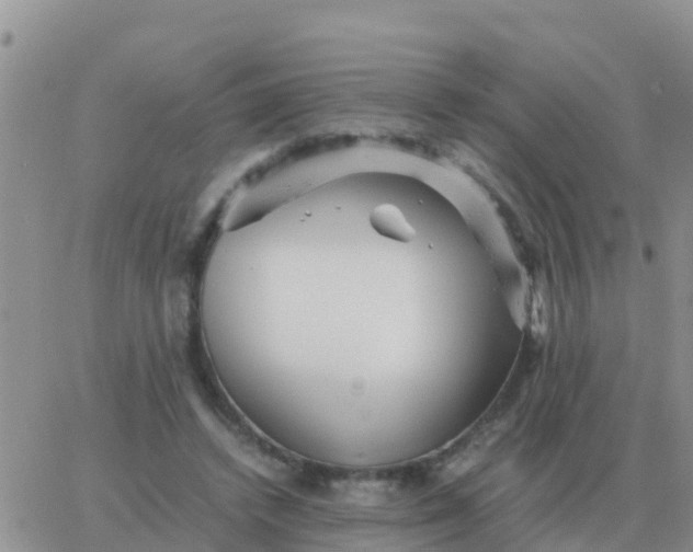 X0000065960448200603172028