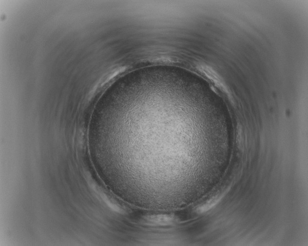 X0000065960449200603172028